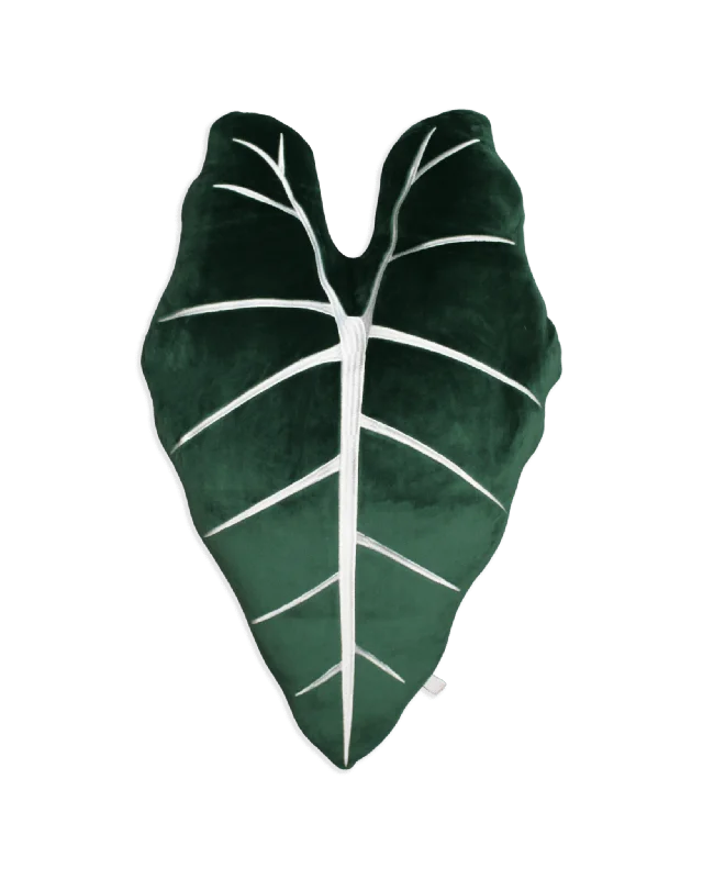 Alocasia Frydek - Forest Green