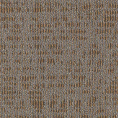 Aladdin Refined Look Carpet Tile 2B55-841 Modernist Vision 24" x 24" (96 SF/Box)