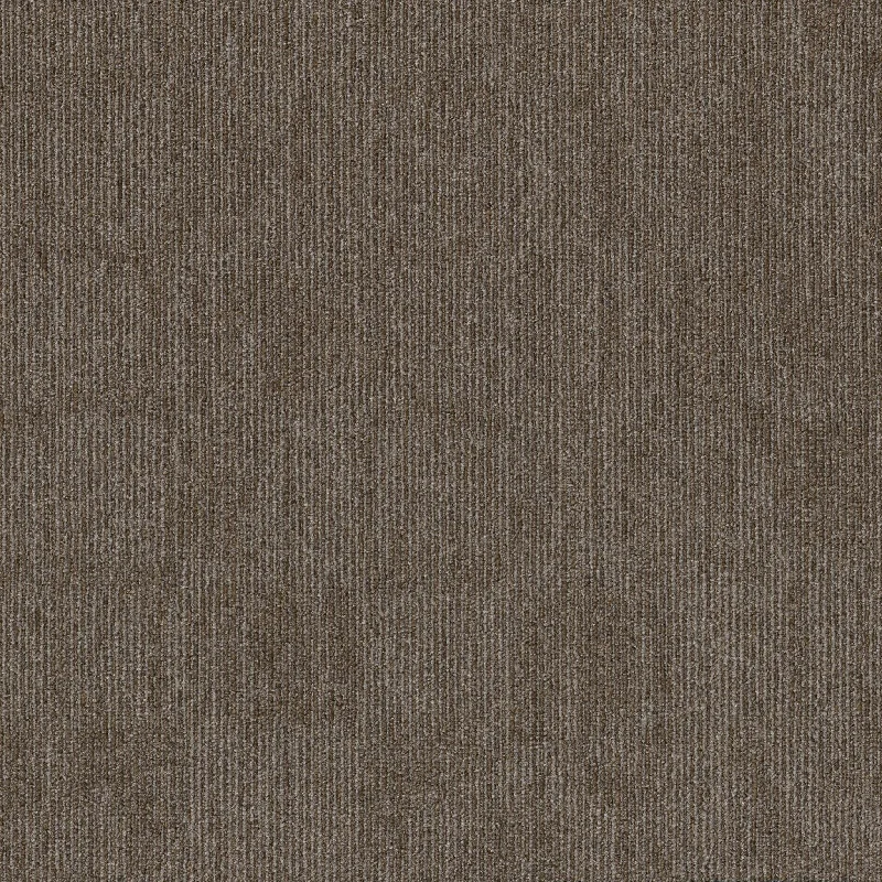 Shaw Knock Out 5th & Main 54957-00200 Rally 24" X 24" Carpet Tile (80 SF/Box)