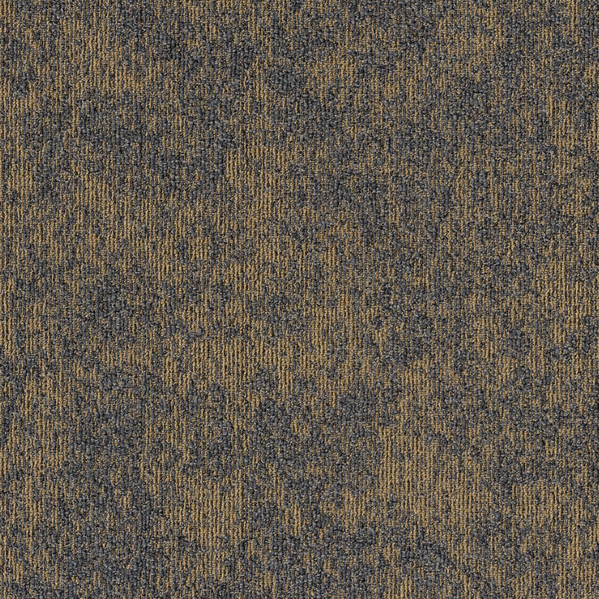 Mohawk - Shape Theory - Cartesian Plane - 24 in. x 24 in. - Commercial Carpet Tile - Golden Ratio