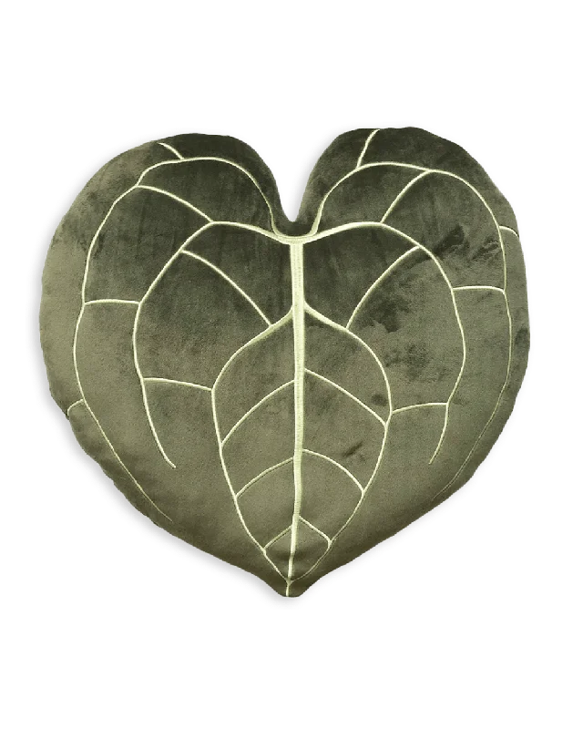 Anthurium Clarinervium - Khaki