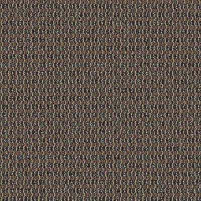 Aladdin Implore Carpet Tile QA128-862 Persuade 24" x 24" (96 SF/Box)