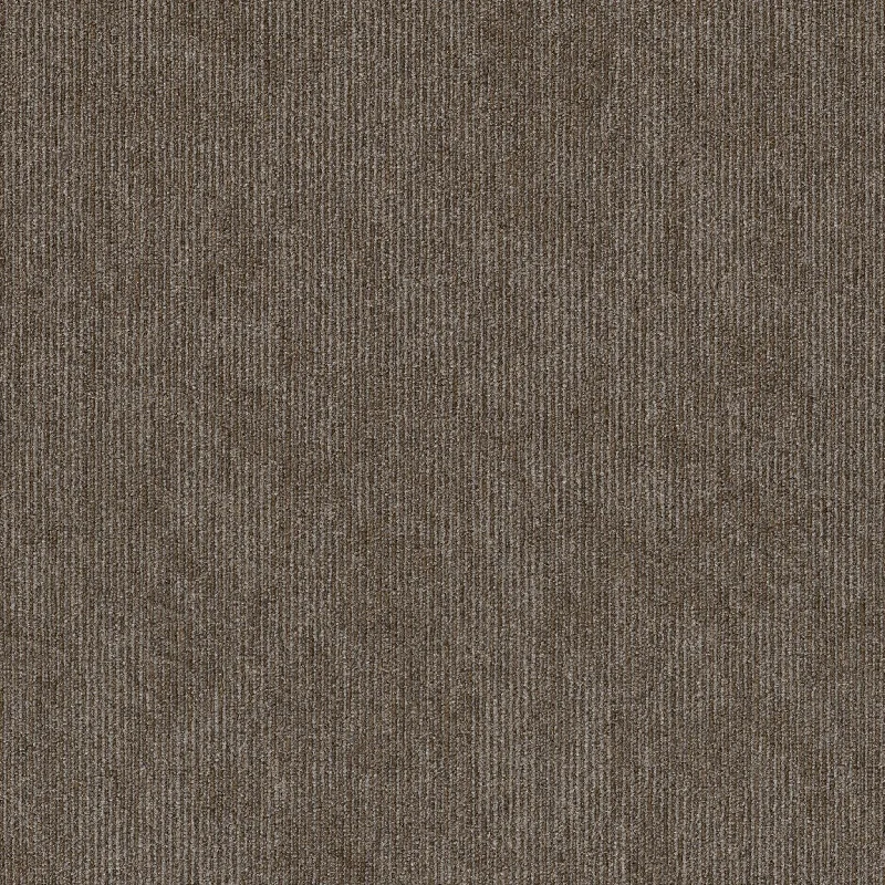 Shaw Contender 5th & Main 54956-00200 Rally 24" X 24" Carpet Tile (80 SF/Box)